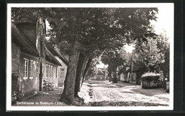 AK Nieblum /Föhr, Blick In Die Dorfstrasse - Föhr