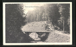 AK Malente /Gremsmühlen, Eisenbahntrasse Und Wald - Malente-Gremsmühlen