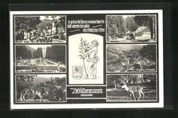 AK Wildemann /Harz, Gasthaus Spiegeltaler Zechenhaus, Spiegelbad, Zick-Zack-Weg - Wildemann