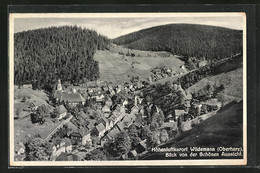 AK Wildemann /Harz, Blick Von Der Schönen Aussicht - Wildemann