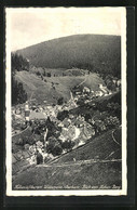 AK Wildemann /Harz, Blick Vom Hohen Berg Auf Den Ort - Wildemann