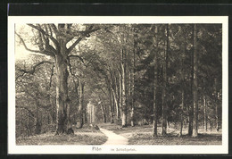 AK Plön, Im Schlossgarten - Plön