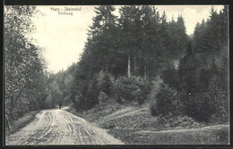 AK Bad Sachsa /Harz, Triftweg Mit Wanderer - Bad Sachsa