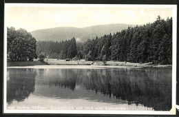 AK Bad Sachsa /Harz, Schmelzteich Und Blick Zum Katzenstein - Bad Sachsa