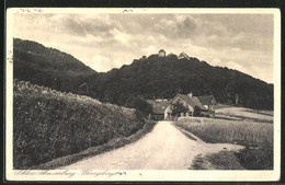 AK Rinteln, Landstrasse In Richtung Schloss Schaumburg - Schaumburg