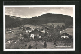 AK Hilterfingen, Häuser Aus Der Vogelschau - Hilterfingen