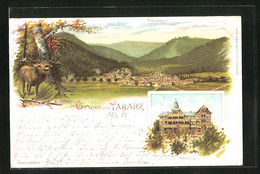 Künstler-AK Tabarz, Panorama, Kurhaus - Tabarz