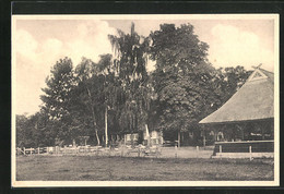 AK Plön A. See, Niedersächsisches Bauernhaus Mit Pension Und Restaurant - Ploen