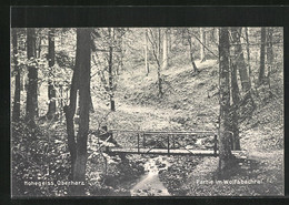 AK Hohegeiss Im Oberharz, Kleine Brücke Im Wolfsbachtal - Oberharz