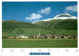 Engiadina - Celerina (27073.0) * 3. 8. 2012 - Celerina/Schlarigna