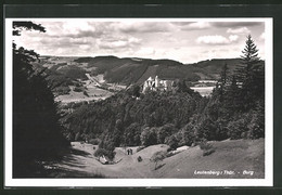 AK Leutenberg / Thür., Blick Zur Burg - Leutenberg