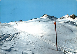 Skigebiet Celerina-Saluver (1/620) * 3. 2. 1978 - Celerina/Schlarigna