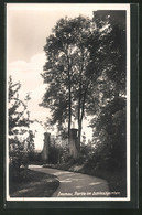 AK Dachau, Idylle Im Schlossgarten - Dachau