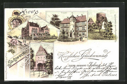 Lithographie Salzwedel, Propstei, Steintor, Königl. Gymnasium, Mönchskirche Und Burg - Salzwedel