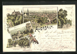 Lithographie Auerbach B. Bensheim, Fürstenlager, Schloss Und Kirchhof, Herrenhaus - Bensheim