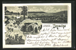 Lithographie Driburg, Teilansicht, Kaiser Wilhelm-Bad, Ruine - Bad Driburg