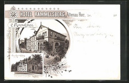 Lithographie Altenau / Harz, Hotel Rammelsberg, Villa Rammelsberg - Altenau