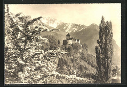 AK Vaduz, Schloss Mit Gebirgswand - Liechtenstein