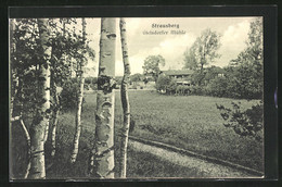 AK Strausberg, Blick Zur Gielsdorfer Mühle - Strausberg