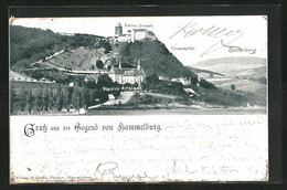 AK Hammelburg, Blick Auf Kloster Altstadt, Felsenkeller Und Schloss Saaleck - Hammelburg