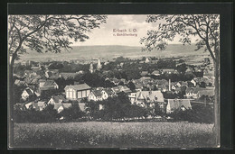 AK Erbach I. O., Blick Von Der Bergwiese Auf Den Ort - Erbach