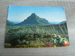 MOOREA - Vue Du Belvédère Sur Le Mont Rotui - Baies D'Opunohu Et Paopao - Editions Erwin - Année 1983 - - Polynésie Française