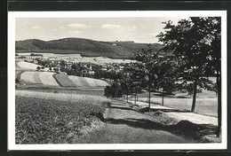AK Erlbach / Vogtland, Panoramablick Auf Den Ort - Vogtland