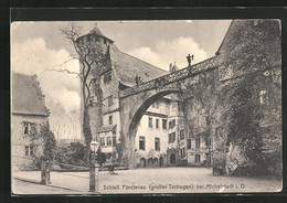 AK Michelstadt I. O., Schloss Fürstenau, Grosser Torbogen - Michelstadt