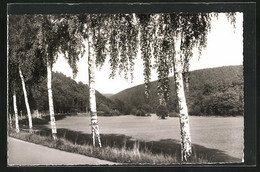 AK Usingen / Taunus, Landschaftsidylle Im Usatal - Usingen