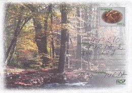 A9740- WOOD FOREST TREES ROCKS GRASS BUSHES, GALATI 2003 ROMANIA COVER STATIONERY - Autres & Non Classés