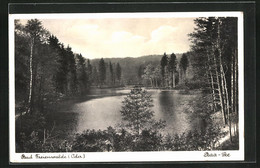 AK Bad Freienwalde / Oder, Blick Auf Den Baa-See - Bad Freienwalde