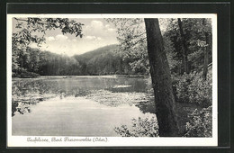 AK Bad Freienwalde / Oder, Idylle Am Teufelssee - Bad Freienwalde