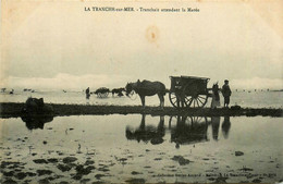 La Tranche Sur Mer * Tranchais Attendant La Marée * Attelage * Ramassage Du Goëmon , Goëmoniers - La Tranche Sur Mer