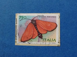 1996 ITALIA FRANCOBOLLO USATO STAMP USES FARFALLE FARFALLA ZYGAENA RUBICUNDUS - 1991-00: Afgestempeld