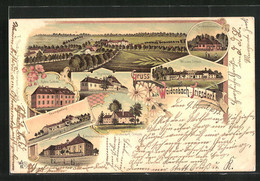 Lithographie Weidenbach-Triesdorf, Baumplante Am Frühen Abend, Rotes Schloss, Weisses Schloss - Weiden I. D. Oberpfalz