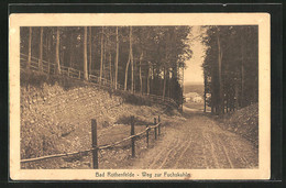 AK Bad Rothenfelde, Weg Zur Fuchskuhle - Bad Rothenfelde