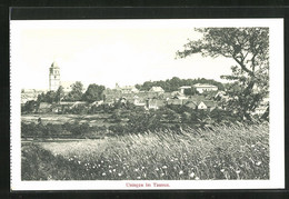 AK Usingen / Taunus, Totalansicht - Usingen