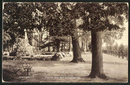 AK Usingen / Taunus, Im Schlossgarten - Usingen