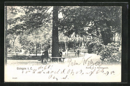 AK Usingen / Taunus, Idylle Im Schlosspark - Usingen