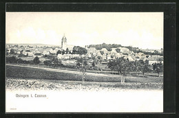 AK Usingen / Taunus, Panoramablick Zum Ort - Usingen