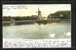 AK Norderney, Napoleon Schanze Mit Windmühle Und Schwänen - Norderney