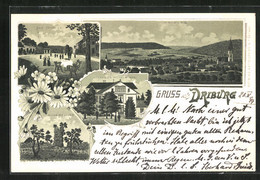 Lithographie Driburg, Kaiser Wilhelm-Bad, Ruine Jburg - Bad Driburg