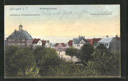 AK Usingen I. T., Wilhelmy-Strasse Mit Wilhelmys Geburtshaus, Rathaus Und Präparandenschule - Usingen