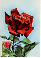 Timbre FDC 1962 Premier Jour Rose Ancienne Oblitération 1er Jour Carte Postale Michel 1410 Tellier 1357 - 1960-1969