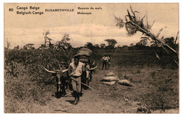 CPA Carte Postale  Congo Kinshasa- Elisabethville Rentrée Du Maïs -1924  VM33420at - Lubumbashi