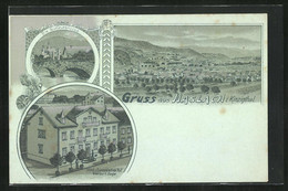 Mondschein-Lithographie Haslach I. K., Hotel Zum Europäischen Hof, Bes. M. Ziegler, Gutleutbrücke - Haslach