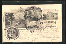 AK Barsinghausen, Deisterhotel, Speisesaal, Garten - Barsinghausen