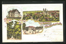 Lithographie Klosterlausnitz, Gasthaus Friedrichshof, Ernst-Agnes Heim - Bad Klosterlausnitz