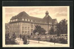 AK Weissenfels, Real-Gymnasium - Weissenfels