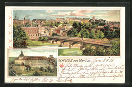 Lithographie Zeitz, Flusspartie Mit Brücke Und Moritzburg - Zeitz